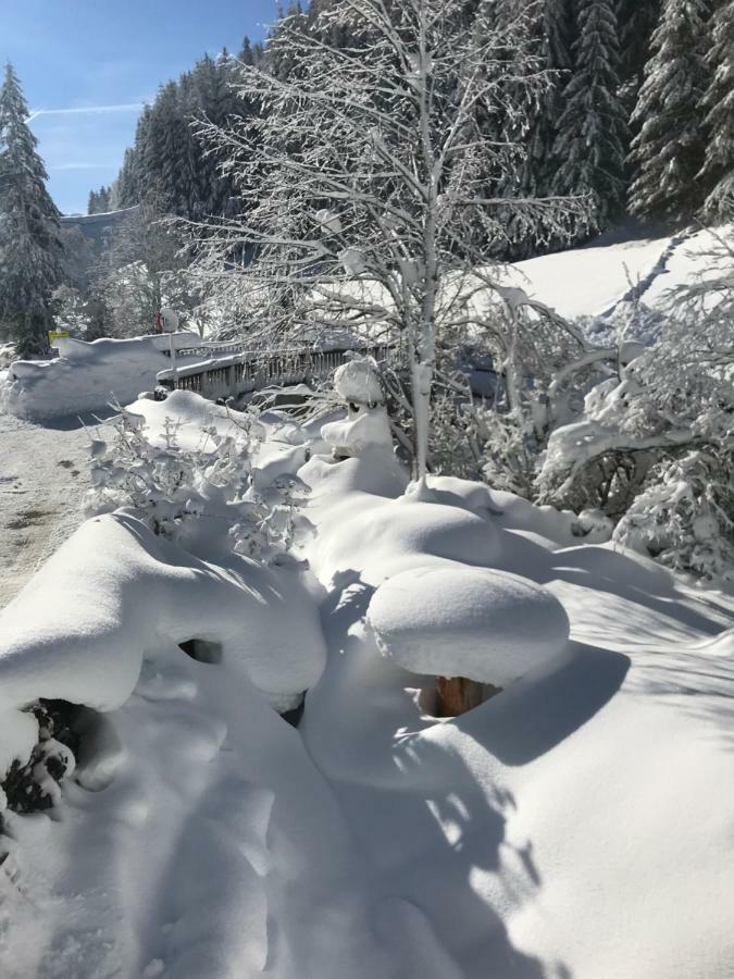 Appartamento Alpindesign